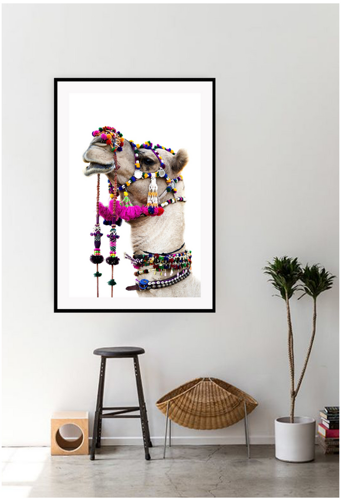 Animal camel print photography bright pink yellow red blue pom pom harness on white background