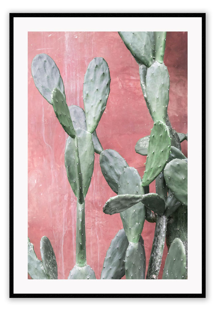 Cactus natural print with small pots of plants on a teracotta background all drawings 