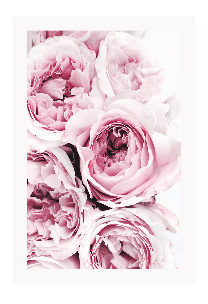 A floral, natural wall art with pink blooming roses which is ideal for living, meditation, study and bedroom. 