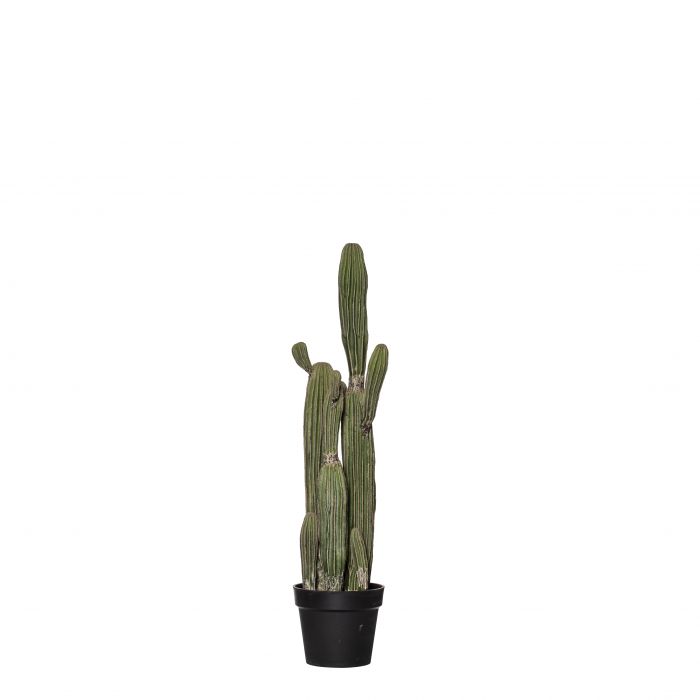 Sagura Small Cactus - Green