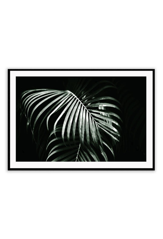 Palm Leaves