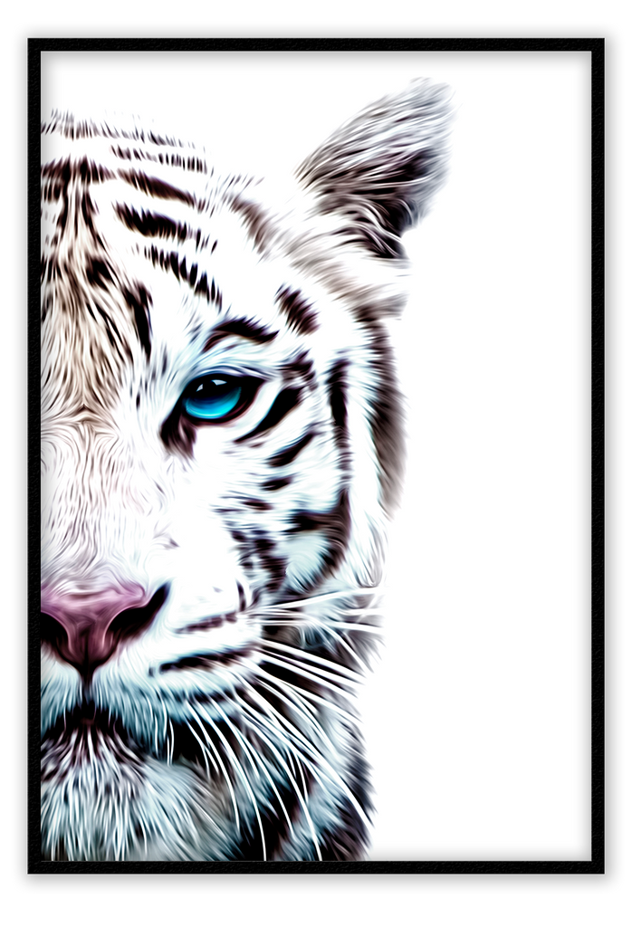 Half face of tiger photograph on white background blue eye furry pink nose