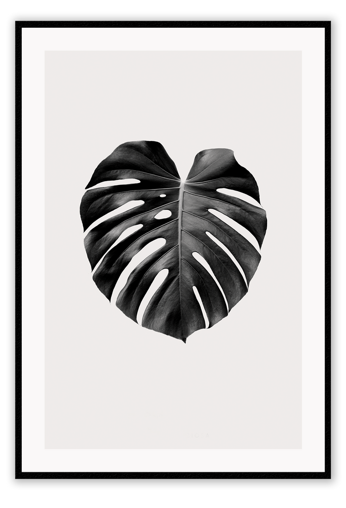 A simple, minimal, natural wall art with a single monstera leaf in black and white