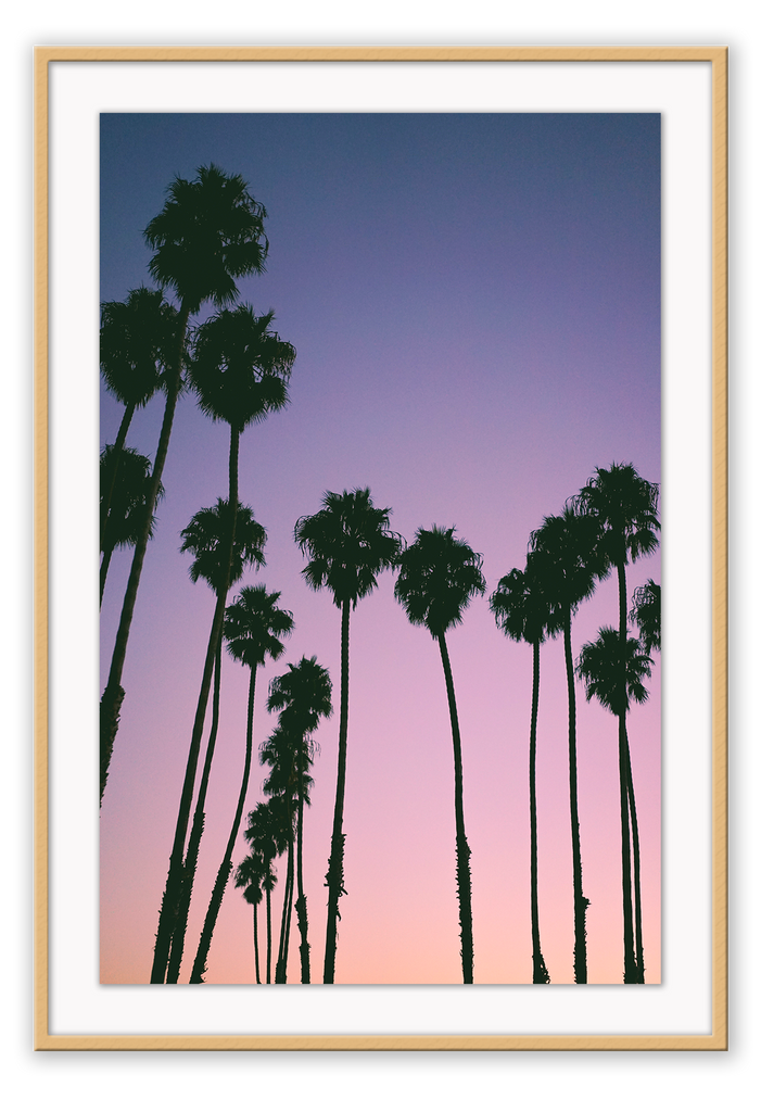 Photography coastal print with shadows of palm trees on a purple, pink and orange sunset background.