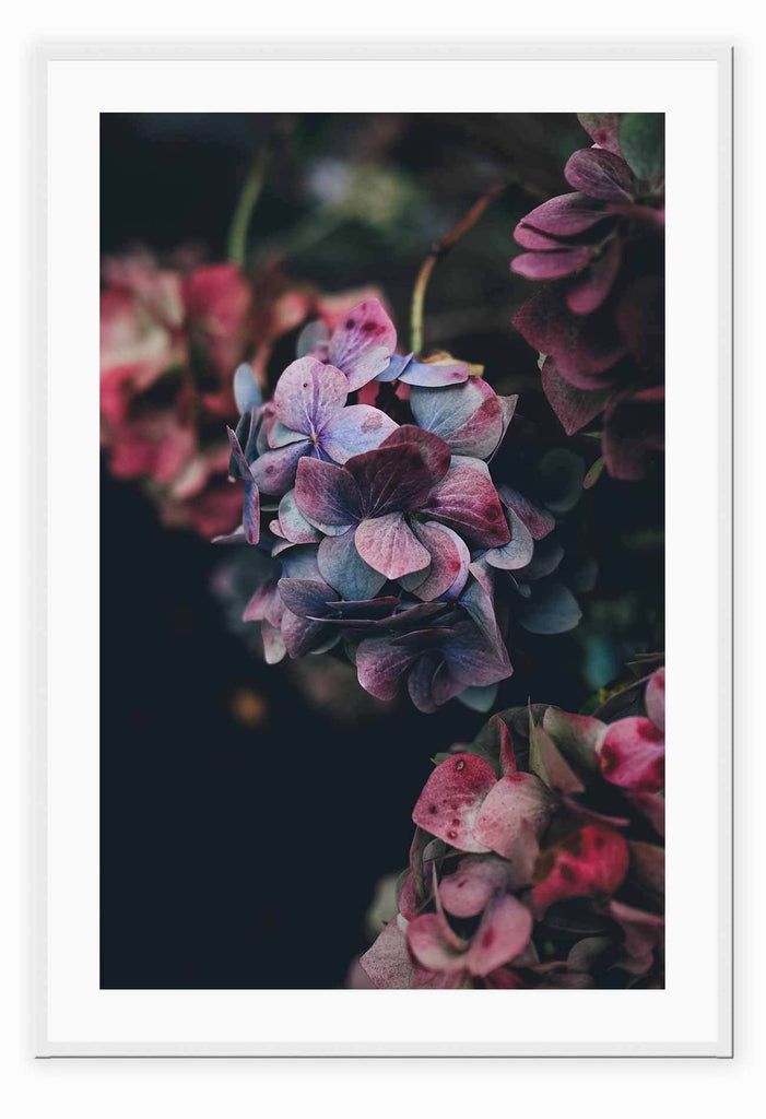 A natural wall art with purple and pink flowers on dark background
