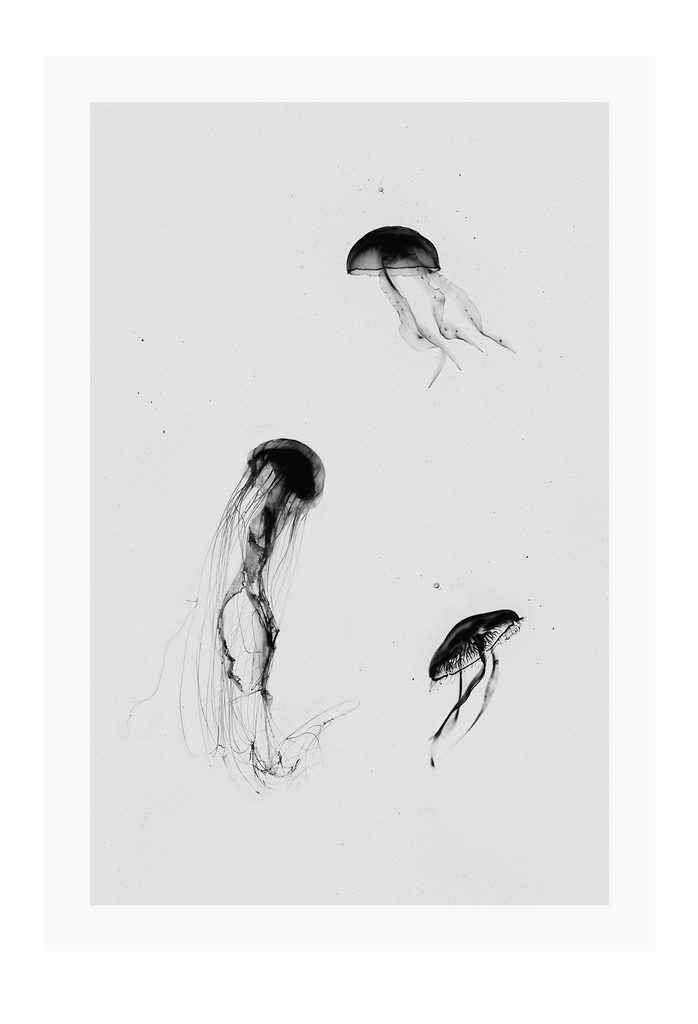 A greystyle wall art with jelly fish drawn in black ink on grey background.