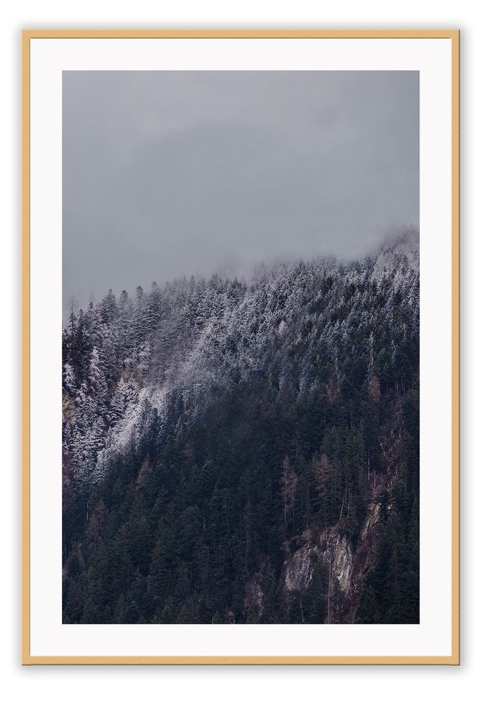 A natural wall art with white snow on green alp forest on a mountain. 