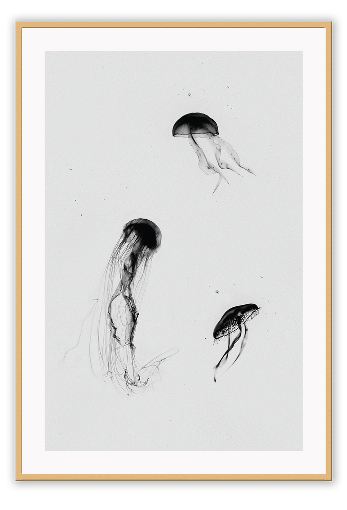 A greystyle wall art with jelly fish drawn in black ink on grey background.