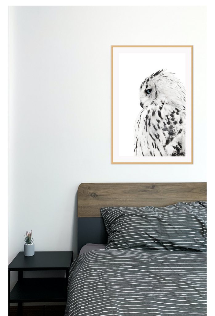 Animal photography print with black and white coloured owl spotty feathers on white background profile view 