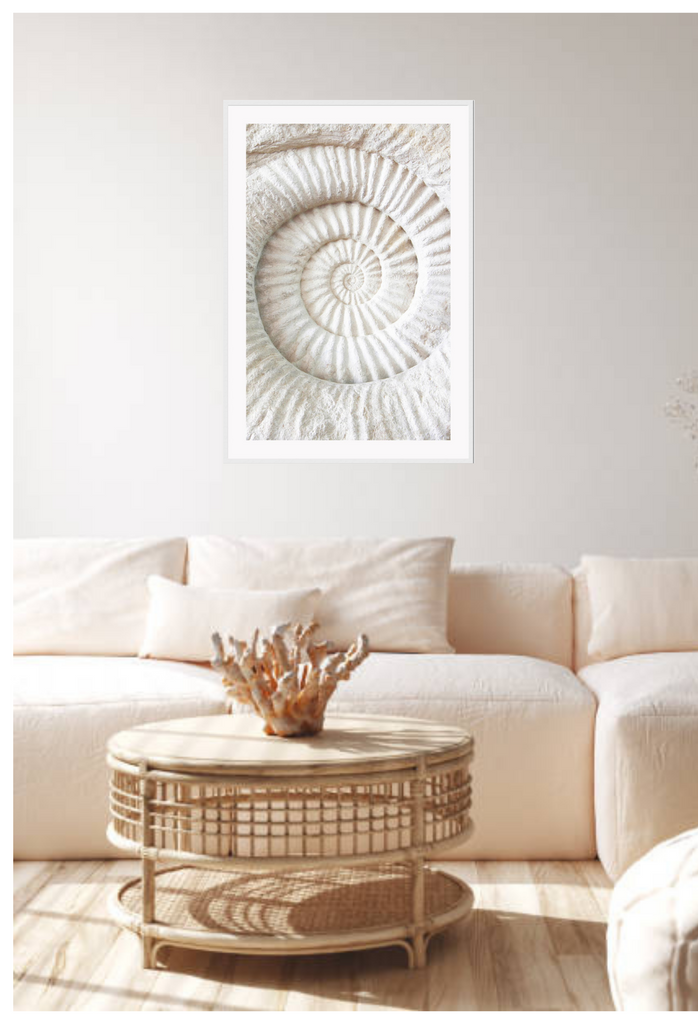 Coastal style photography beach print with a fossil spiral shape close up in white.