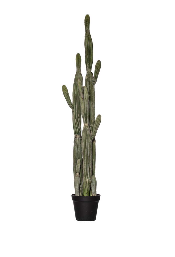 Sagura Large Cactus - Green