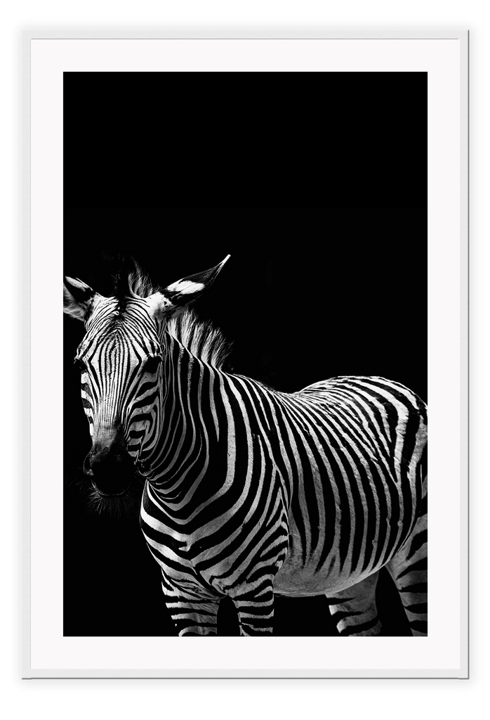 Dark moody black and white striped animal print portrait black background 