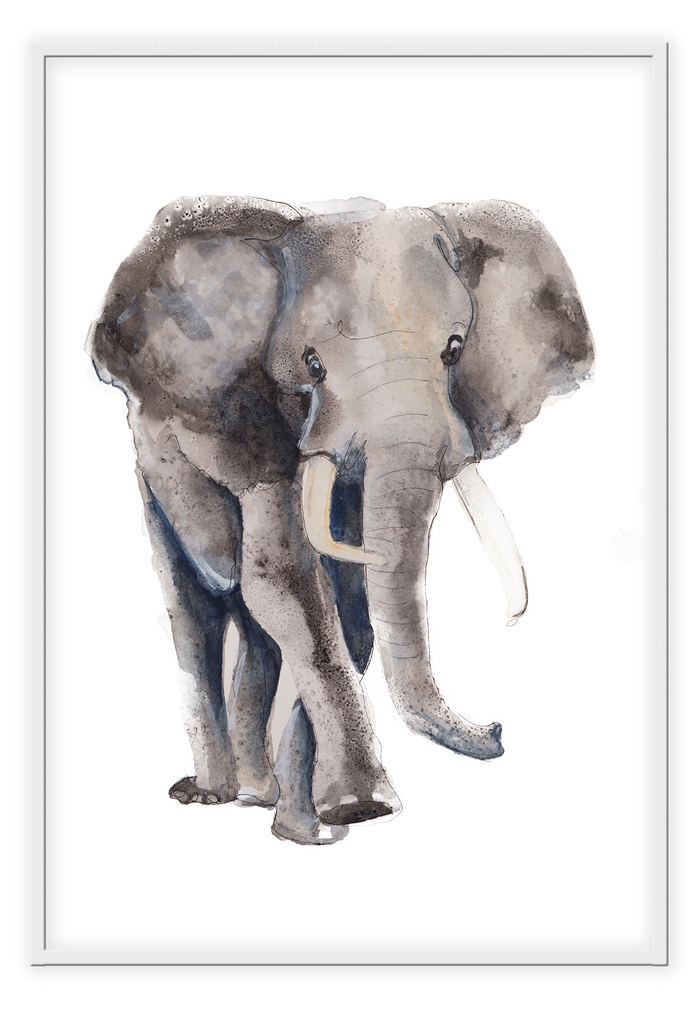 Kids print with watercolour elephant on a white background 