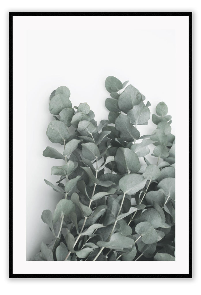 Eucalyptus boho leaves on white background with sage green accents natural print portrait 