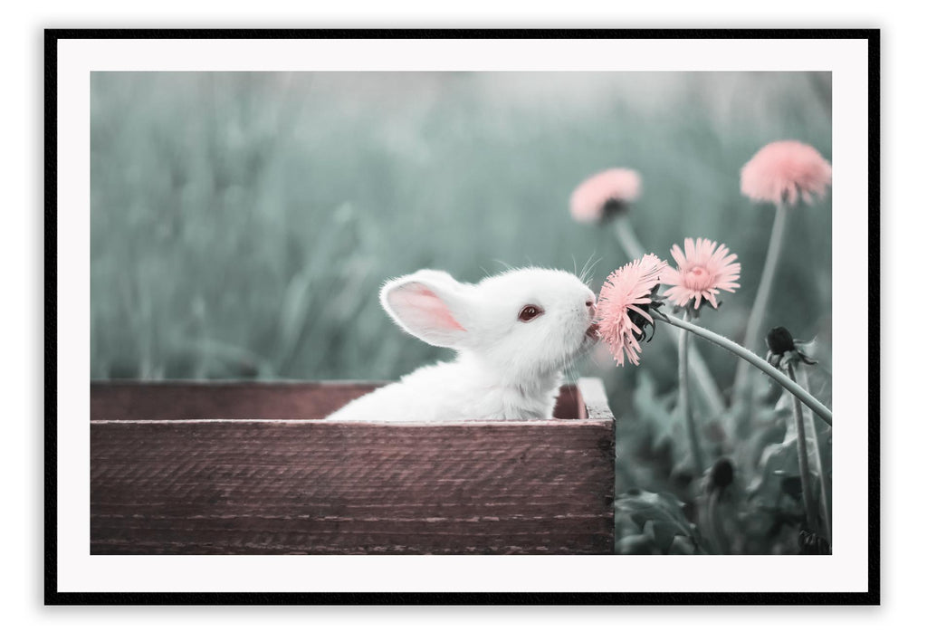 White rabbit bunny in box with pink flowers landscape print with spring garden tones  