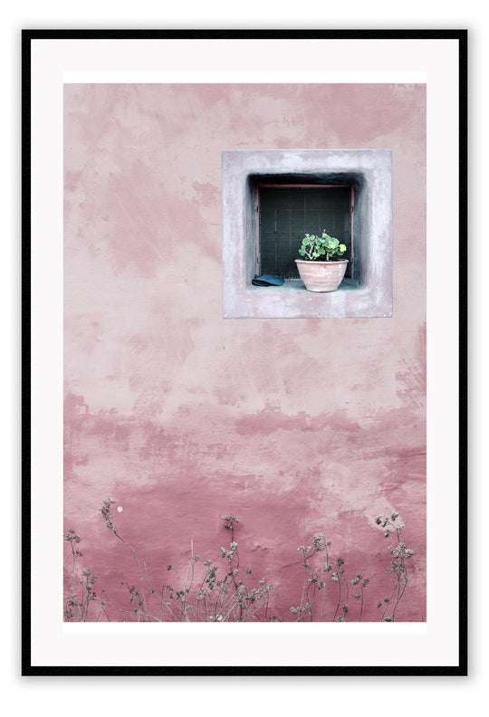 Pink Window