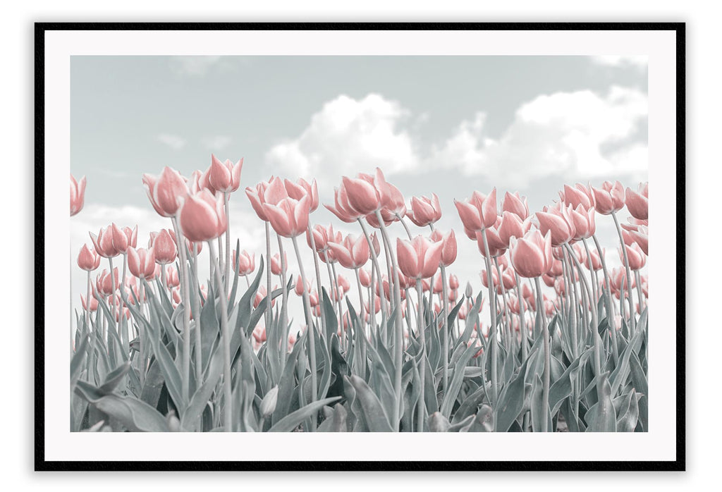 Tulips in field spring garden landscape print with pink and grey tones with clouds 