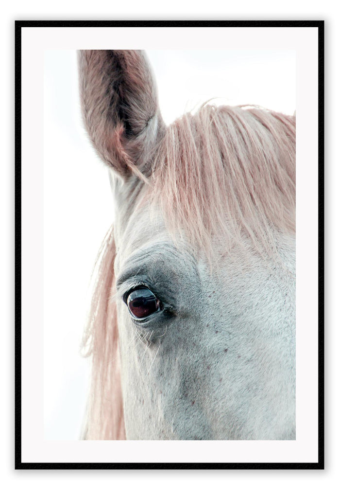 Horse print photography animal white background and neutral boho style 