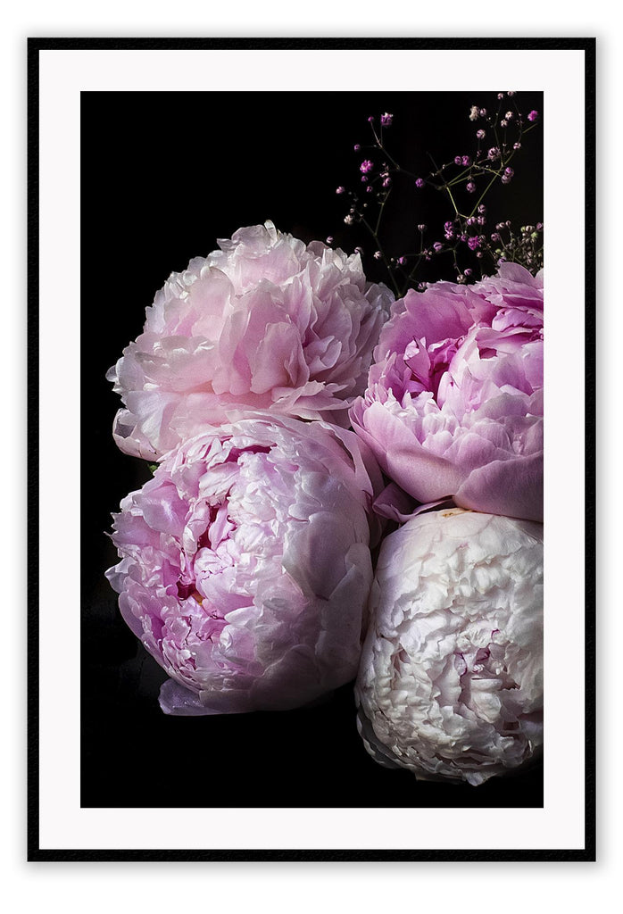  A natural, floral wall art with flower boutique of pink peonies on black background. 