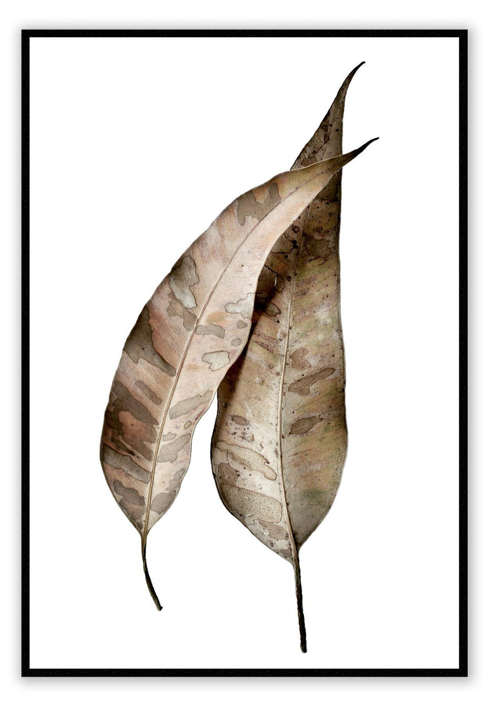 A natural portrait print with brown leaves white background boho style 