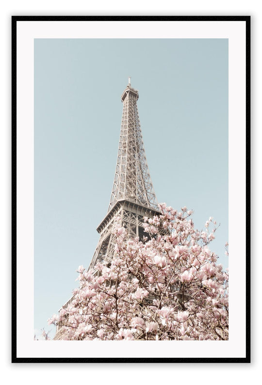 Pink Paris