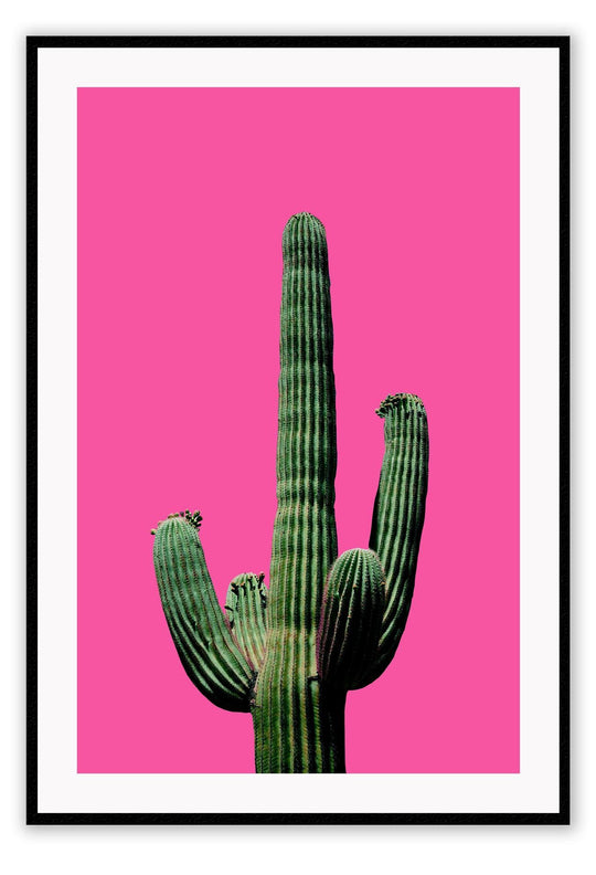 Fluro Cactus