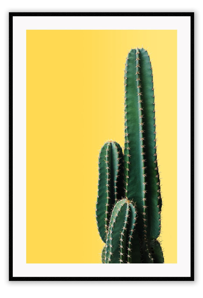 Natural cactus portrait print with green plant and yellow fluro background 