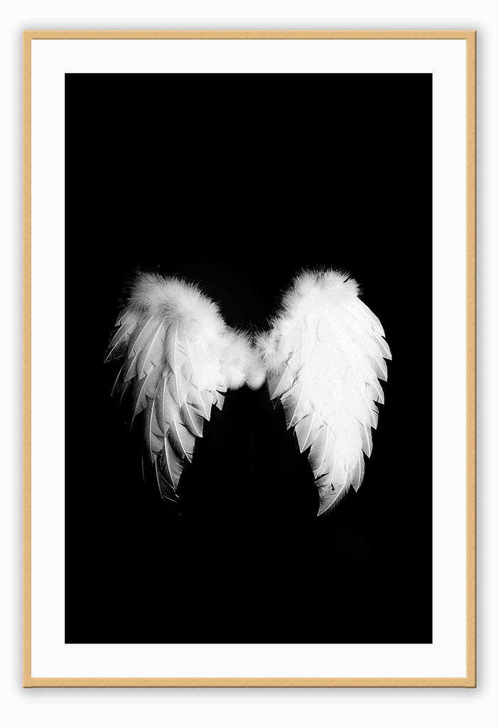 A fashion wall art with a pair of white swan wings on black background. 