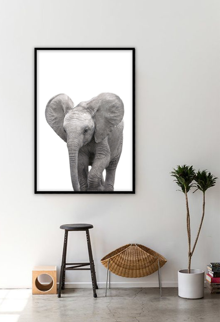 Kids nursery print with a baby elephant close-up in front of a white background. 