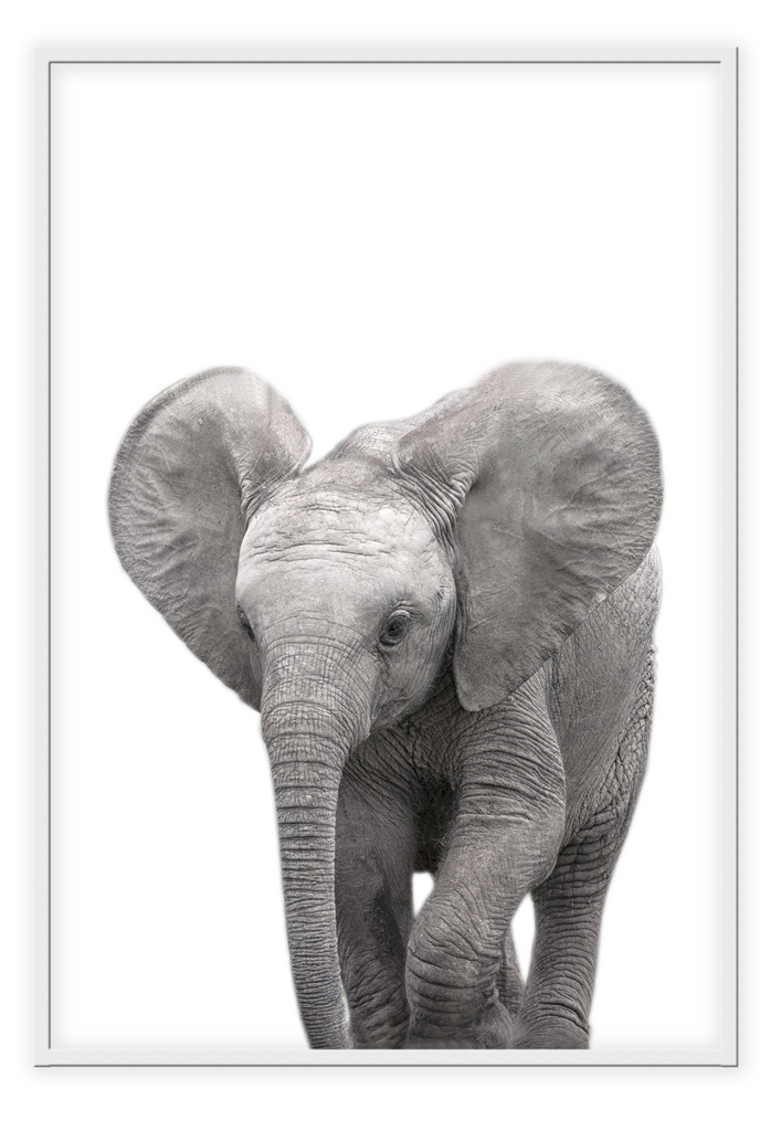 Kids nursery print with a baby elephant close-up in front of a white background. 