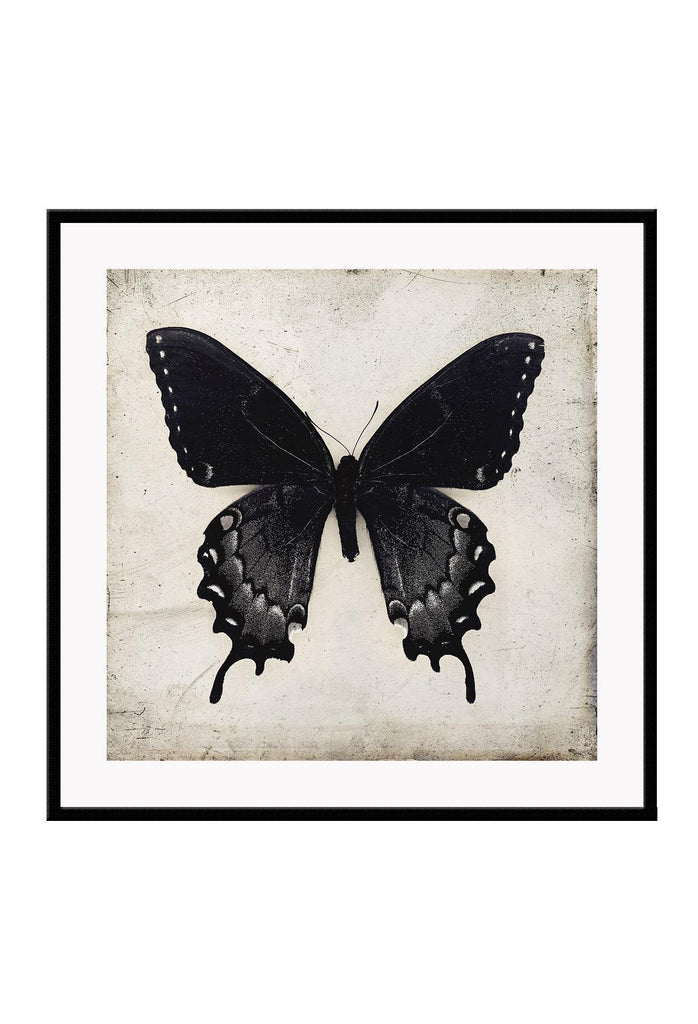 Square butterfly print with vintage paper background and black insect with wings extended 