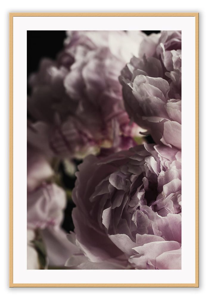 A natural floral wall art with pink flowers on black background.