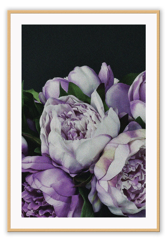 Floral natural sketch print with black background and purple, pink and green colours 