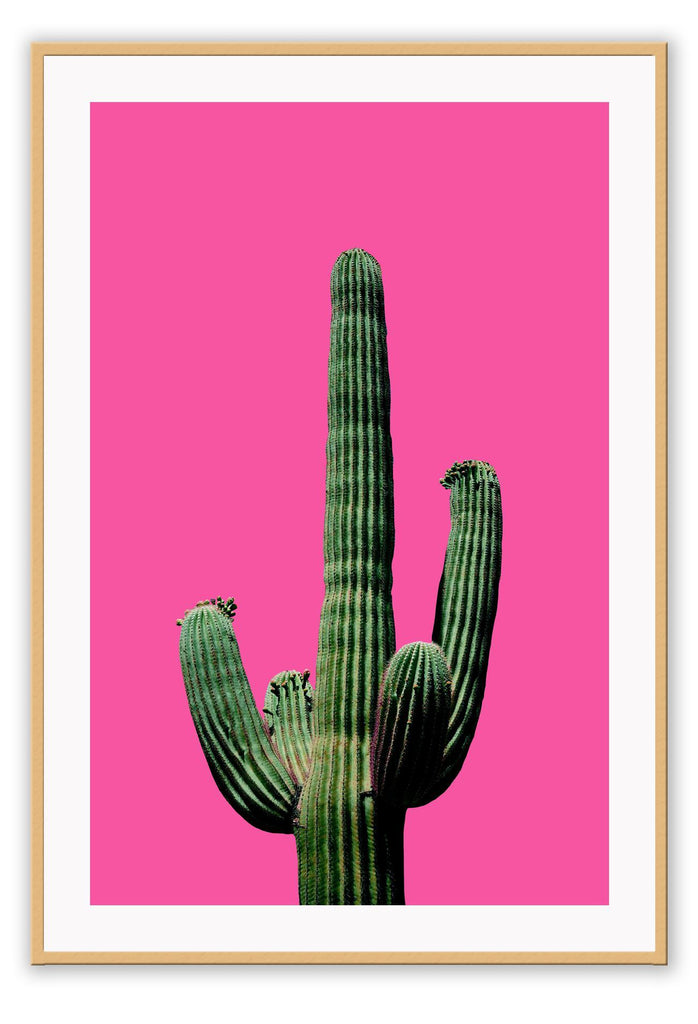 A natural wall art with green cactus on hot pink background. 