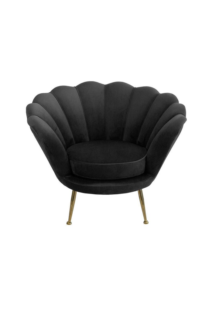 Black velvet oyster shell shaped tub armchair with thin metal legs in brass brushed gold finish on a white background