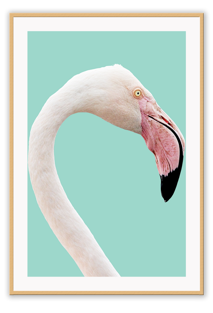 Animal print with profile of pink flamingo with white feathers on teal background