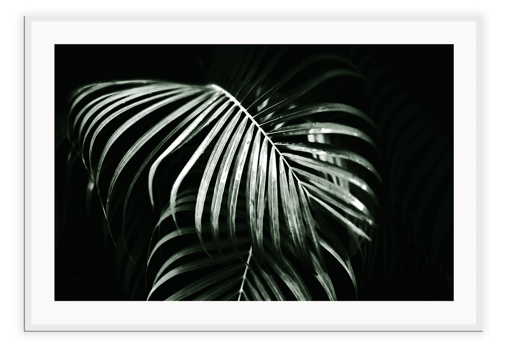 Landscape natural leaves with black background black and white photography 