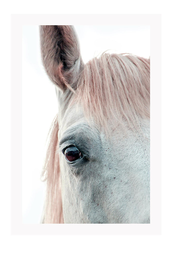 Horse print photography animal white background and neutral boho style 
