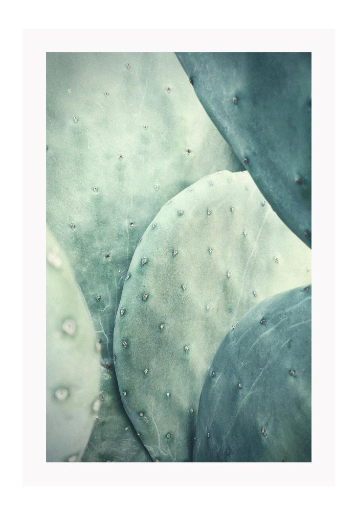 A natural wall art with green cactus texture close up 