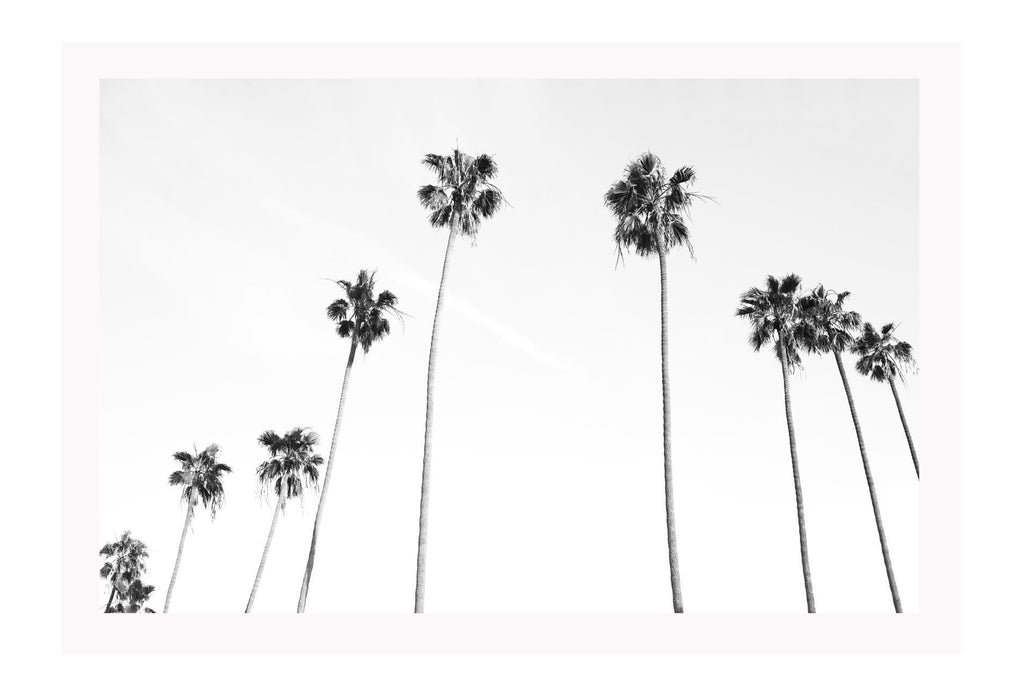 white sky black palm trees framed art print  