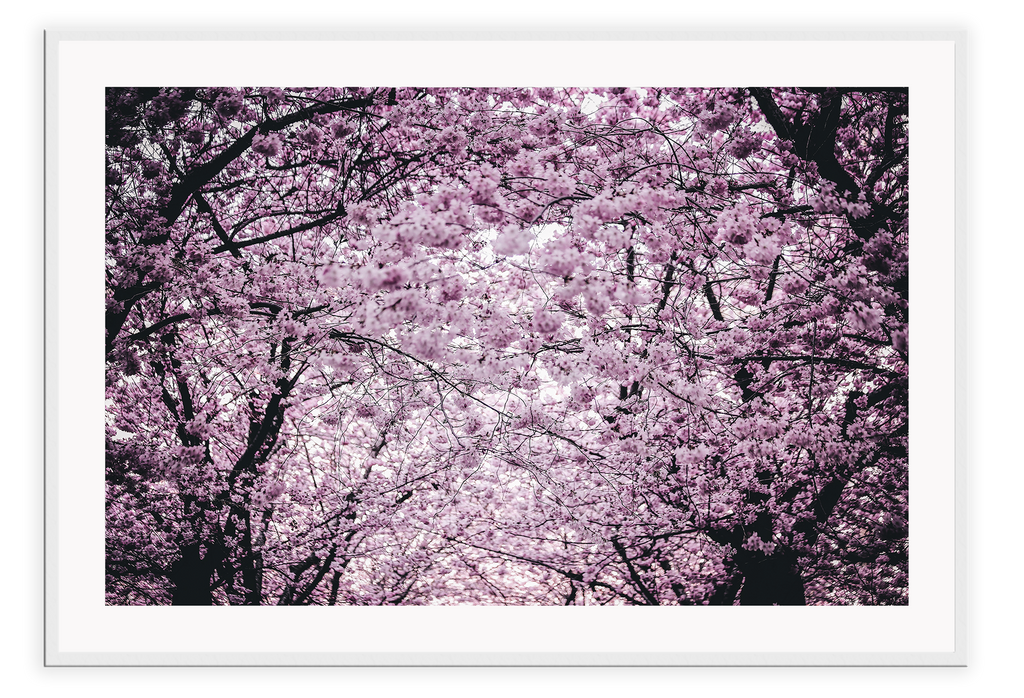 A natural floral wall art with pink and purple cherry blossoms in Japan spring girly. 