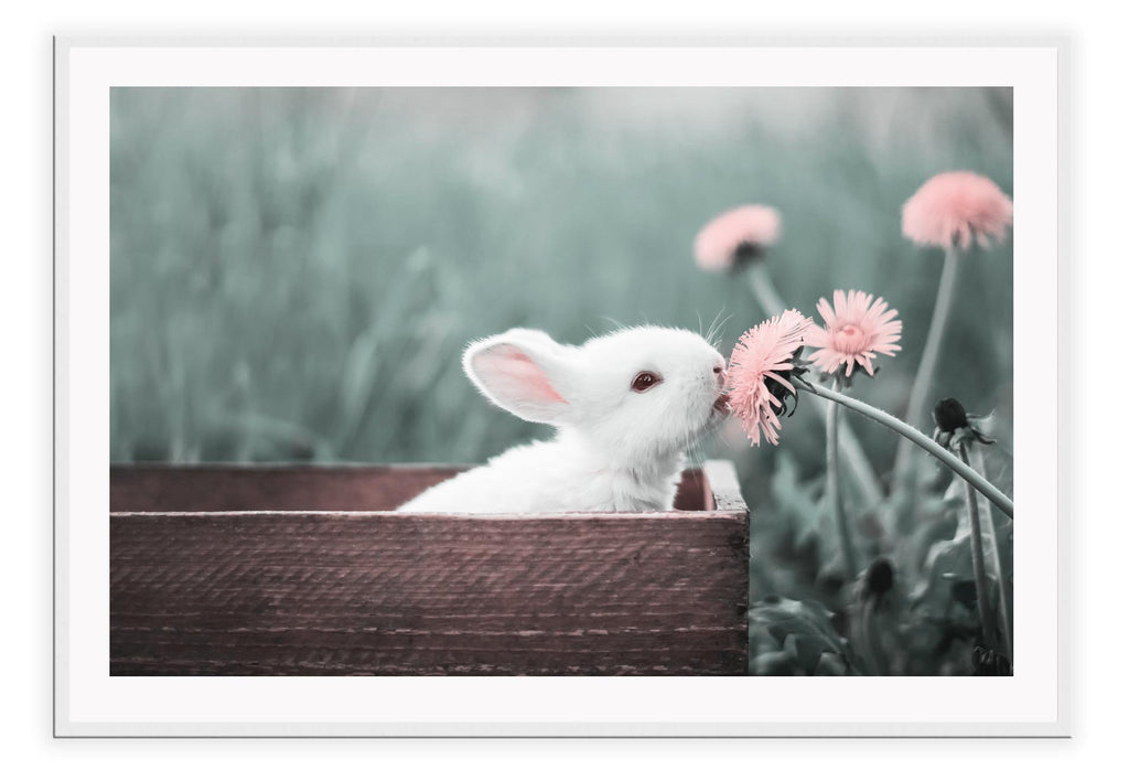 White rabbit bunny in box with pink flowers landscape print with spring garden tones  