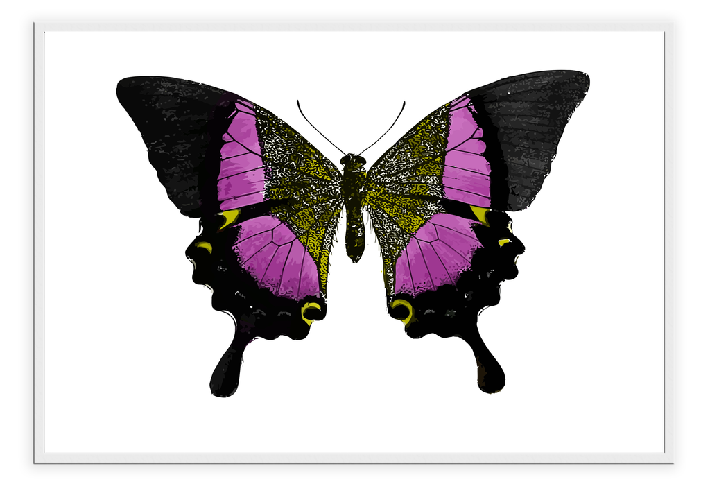 Landscape butterfly print with pink and black yellow insect wings on white background