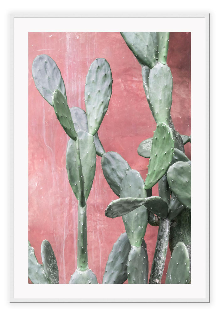 Cactus natural print with small pots of plants on a teracotta background all drawings 